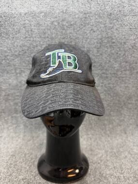 Tampa Bay Rays Baseball Cap Gray Embroidered Logo AMCO Adjustable Hat
